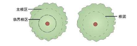 Plants00060.png