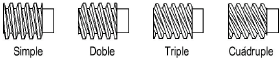 Worm_starts.png