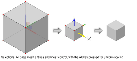 Shapes300102.png