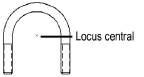 UBolt_CenterLocus.png