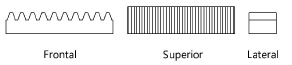 spur_gear_rack_views.png