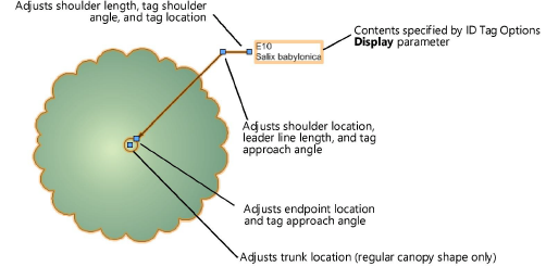 ExistTree_IDex.png
