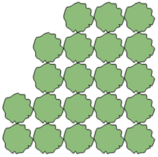 Plant_rect.png