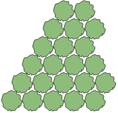Plant_tri.png